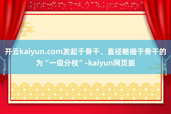 開(kāi)云kaiyun.com發(fā)起于骨干、直徑略細(xì)于骨干的為“一級(jí)